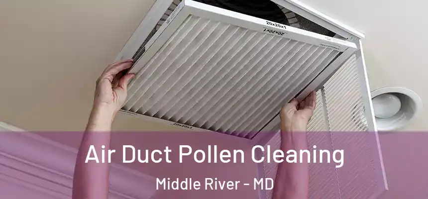  Air Duct Pollen Cleaning Middle River - MD