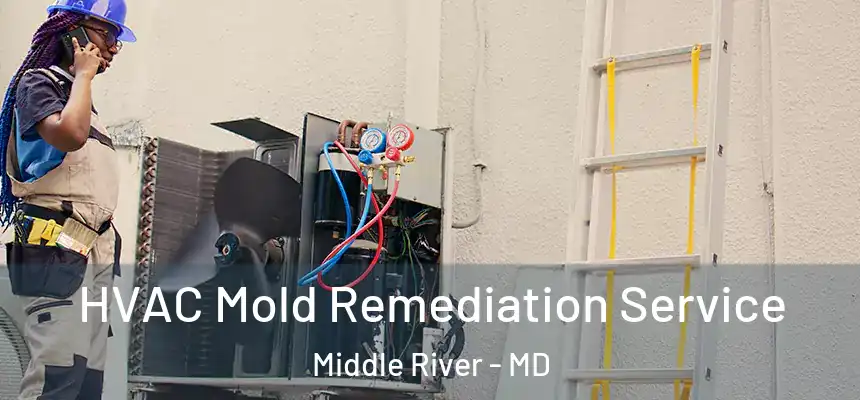  HVAC Mold Remediation Service Middle River - MD