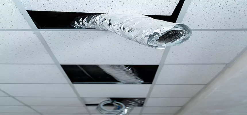 Our Air Duct Pet Hair Removal Services in Middle River, MD