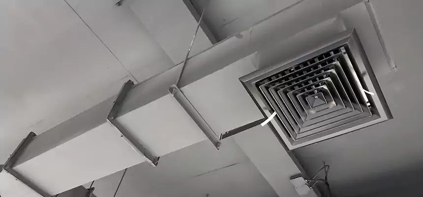 Our Rodent Droppings In Vents Services in Middle River, MD