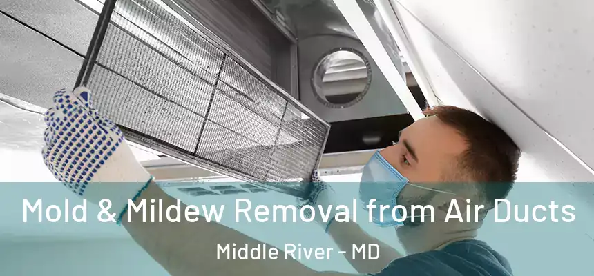  Mold & Mildew Removal from Air Ducts Middle River - MD