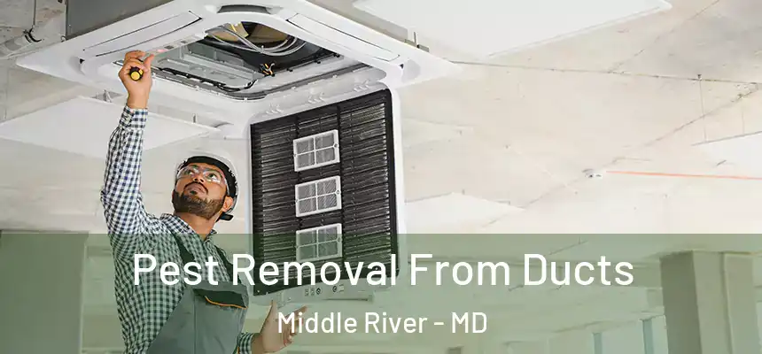 Pest Removal From Ducts Middle River - MD