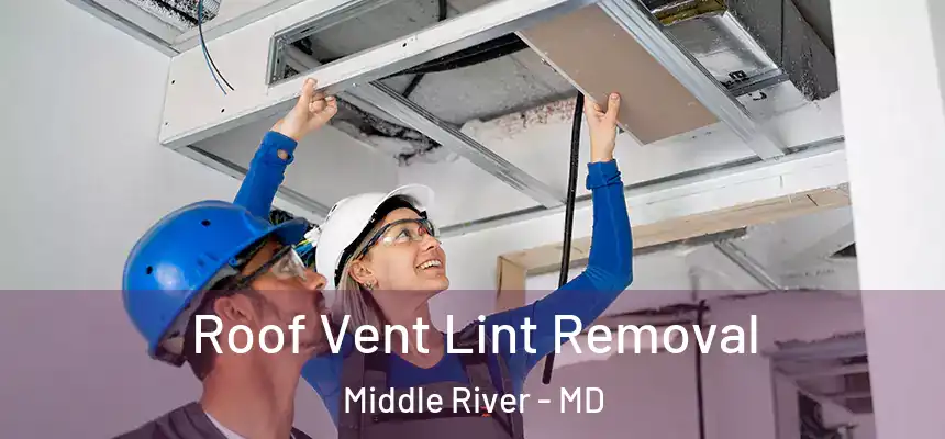  Roof Vent Lint Removal Middle River - MD