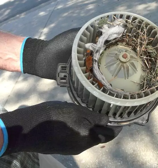 About Air Duct Mice Removal in Middle River, MD