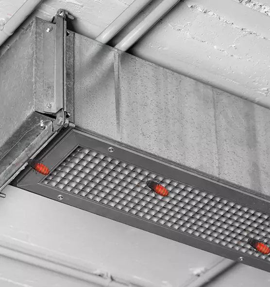 Affordable Insect Removal from Air Ducts in Middle River, MD