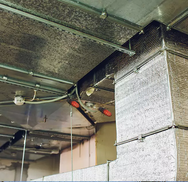 Why Homeowners & Businesses Trust Us in Middle River, MD?