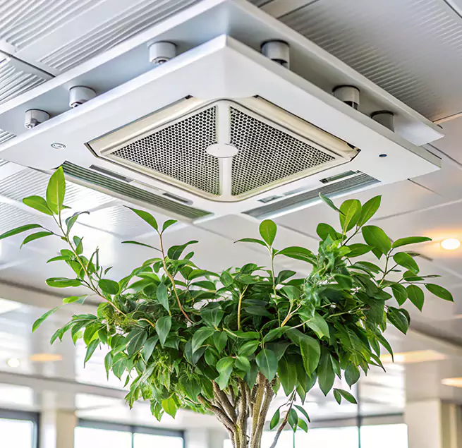 Why Homeowners & Businesses Trust Us in Middle River, MD?